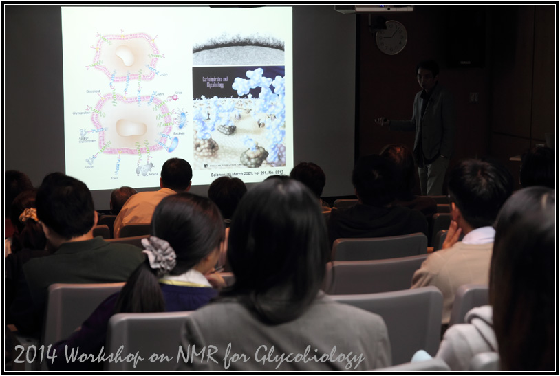 HFNMRC-2014NMRWorkshop-18.jpg