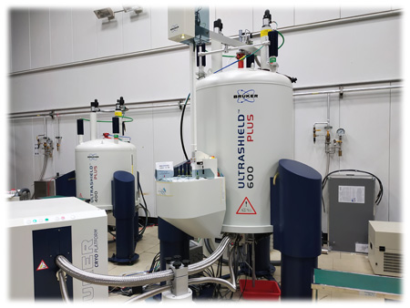 IBMS AVIII600 NMR Spectrometer